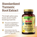 Solgar Standardized Turmeric Root Extract 60 Vegetable Capsules - DailyVita