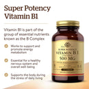 Solgar Vitamin B1 (Thiamin) 500 mg 100 Tablets - DailyVita