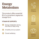 Solgar Vitamin B1 (Thiamin) 500 mg 100 Tablets - DailyVita