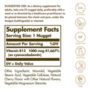 Solgar Vitamin B12 1000 mcg 100 Nuggets - DailyVita