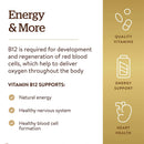 Solgar Vitamin B12 500 mcg 100 Vegetable Capsules - DailyVita