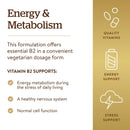 Solgar Vitamin B2 (Riboflavin) 100 mg 100 Vegetable Capsules - DailyVita