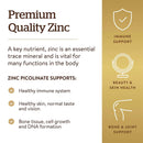 Solgar Zinc Picolinate 22 mg 100 Tablets - DailyVita