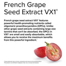 Terry Naturally Clinical OPC Extra Strength - 400 mg 60 Softgels - DailyVita