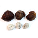 WOHO Natural Sun Dried Wild Caught Round Sea Cucumber Large - 4 Oz - DailyVita