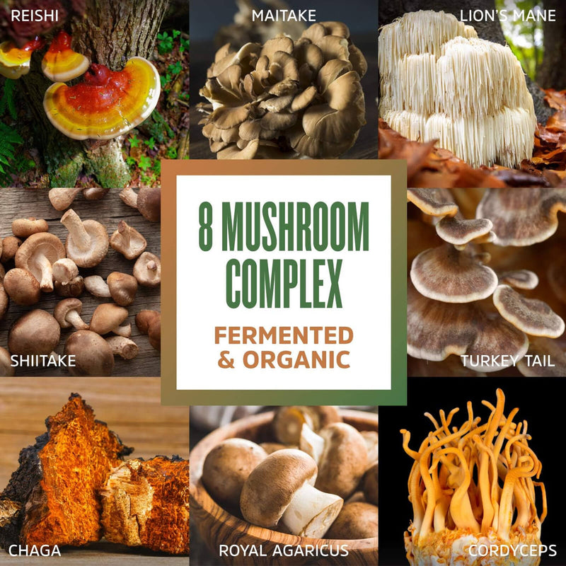 Zhou Nutrition 8-Plex Organic Mushroom Powder, Support Cognitive and Immune Health, Increase Energy, Endurance & Overall Wellness, Lions Mane, Reishi & Turkey Tail, 30 Servings - 2.14 Oz - DailyVita