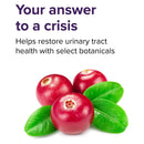 Vibrant Health U.T. Vibrance Stick Pack Assembly, 10 per box - DailyVita