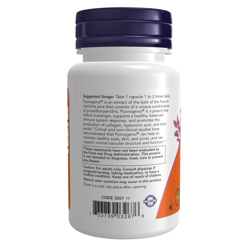 NOW Foods Pycnogenol 100 mg 60 Veg Capsules - DailyVita