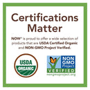 NOW Foods Quinoa Macaroni Organic 8 oz - DailyVita