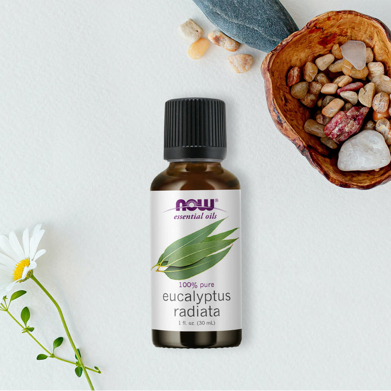 NOW Foods Eucalyptus Radiata Oil 1 fl oz - DailyVita