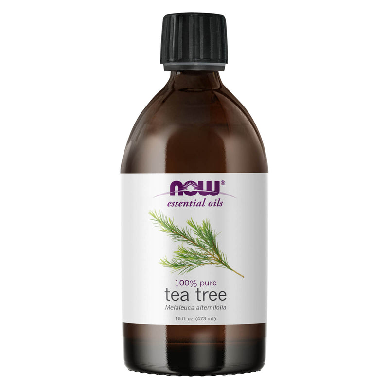 NOW Foods Tea Tree Oil 16 fl oz - DailyVita