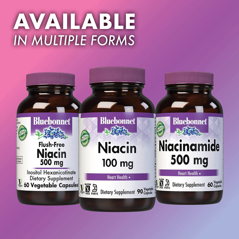 Bluebonnet Niacin 100 mg 90 Veg Capsules - DailyVita