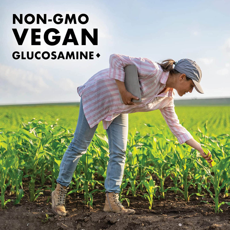 Bluebonnet Vegetarian Glucosamine & MSM 60 Veg Capsules - DailyVita