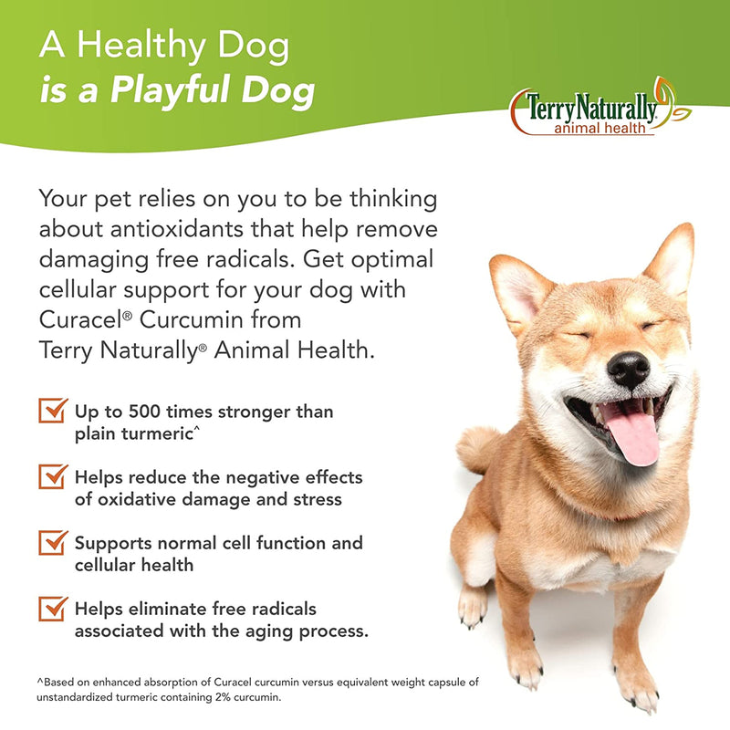 Terry Naturally Curacel Curcumin 60 Softgels - CANINE for Dogs - DailyVita