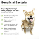 Terry Naturally Probiotic Daily 60 Chews - CANINE for Dogs - DailyVita