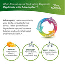 Terry Naturally Adrenaplex 120 Caps - DailyVita