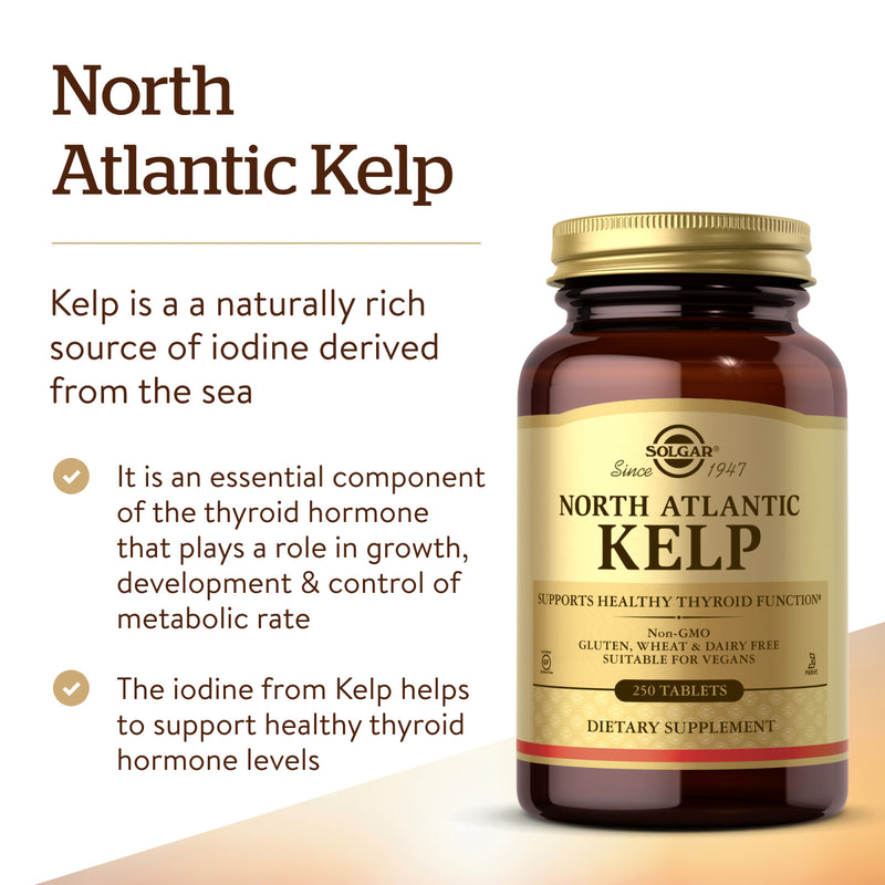Solgar North Atlantic Kelp 250 Tablets - DailyVita