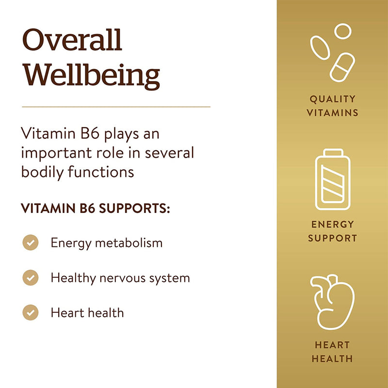 Solgar Vitamin B6 25 mg 100 Tablets - DailyVita