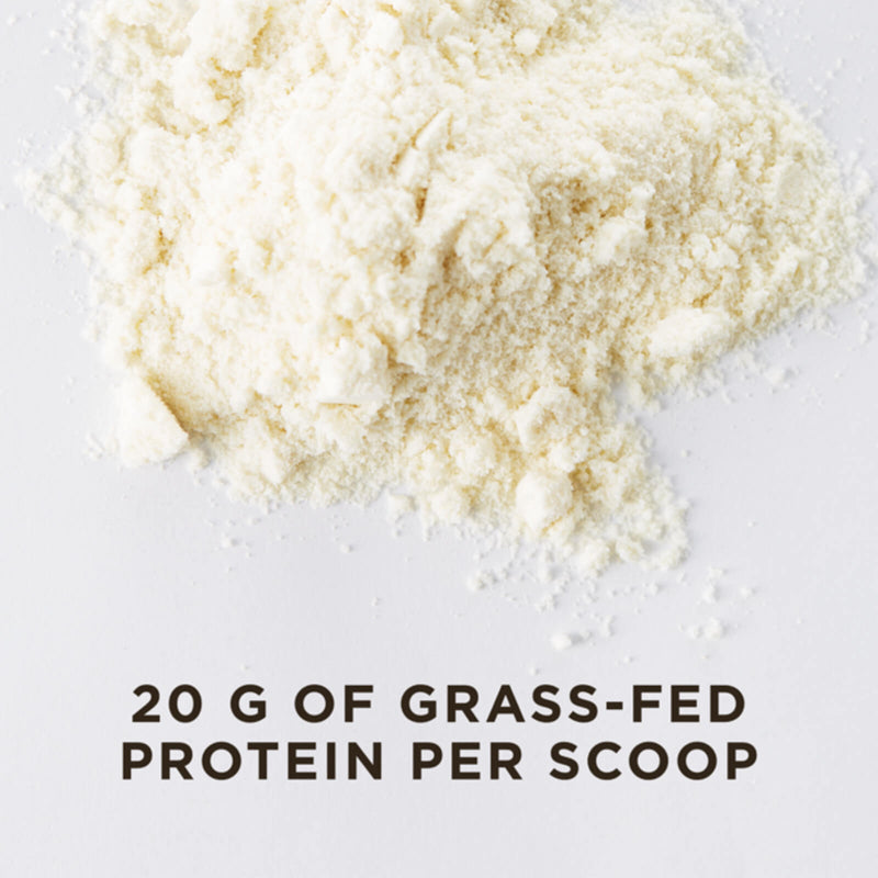 Solgar Grass Fed Whey To Go Protein Powder Vanilla 2 lb (936 g) - DailyVita