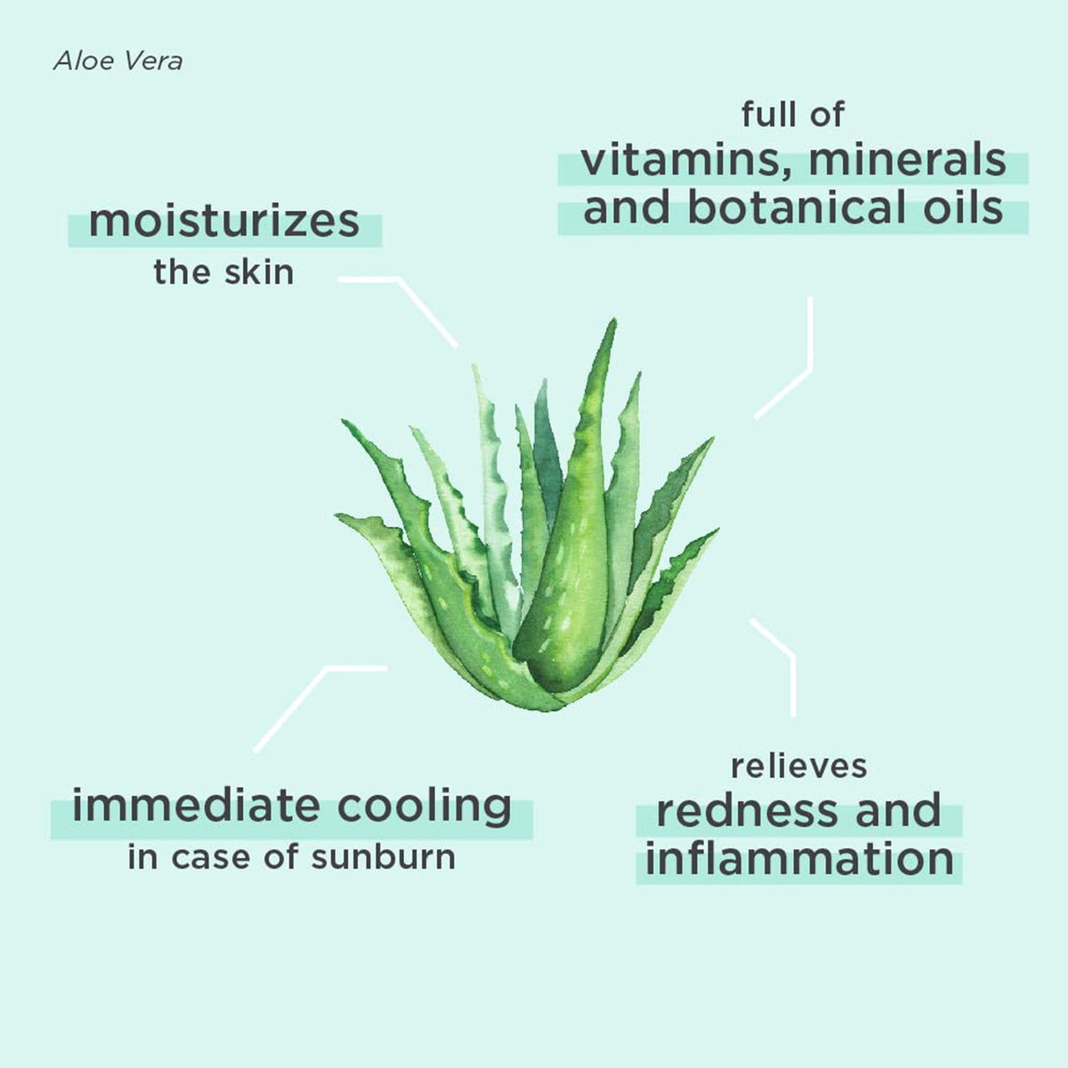 ANNEMARIE BÖRLIND - BEAUTY ESSENTIALS 2 Phase Aloe Vera Shake 1.69 fl.oz