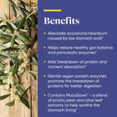 Enzymedica Betaine 120 Capsules - DailyVita